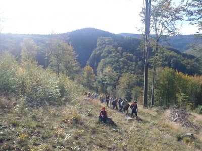 Obrázek 105524 