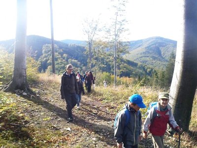 Obrázek 105526 