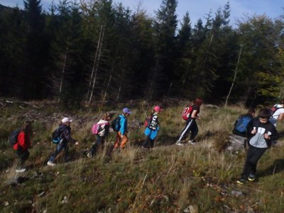 Obrázek 105614 