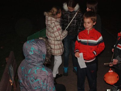 Obrázek 105075 
