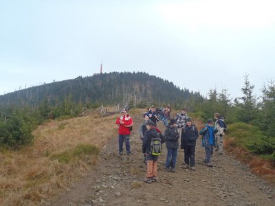 Obrázek 104872 