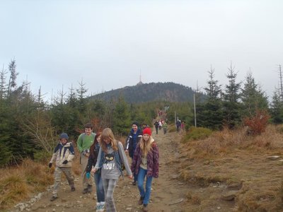 Obrázek 104875 