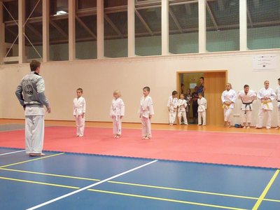 Obrázek 104433 