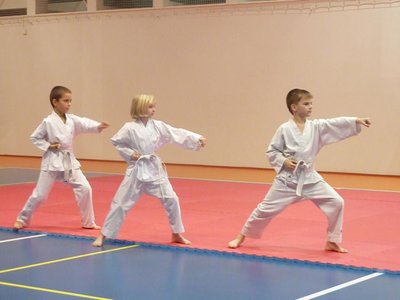 Obrázek 104435 