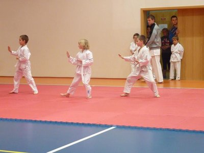 Obrázek 104436 