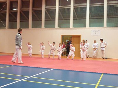 Obrázek 104439 