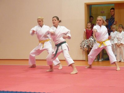 Obrázek 104441 