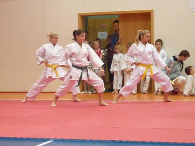 Obrázek 104444 