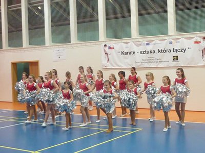 Obrázek 104452 