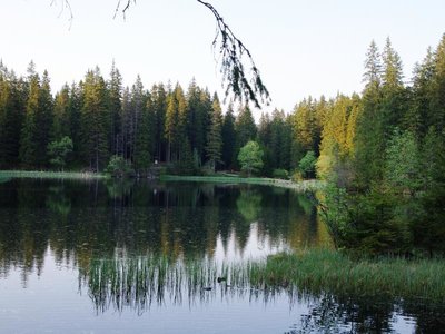 Obrázek 115599 