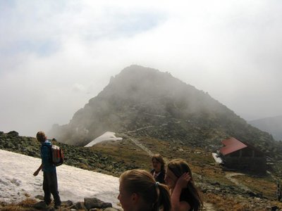Obrázek 115665 