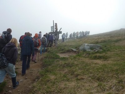 Obrázek 115615 