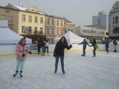Obrázek 103870 