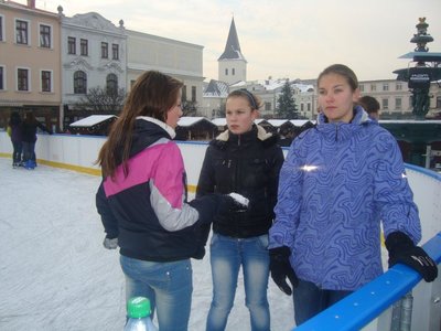 Obrázek 103902 