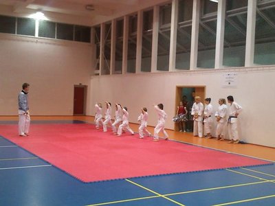 Obrázek 104370 