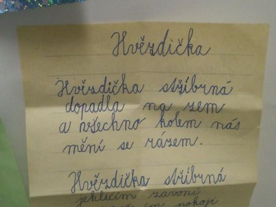 Obrázek 103376 