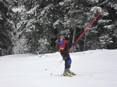 Obrázek 103178 