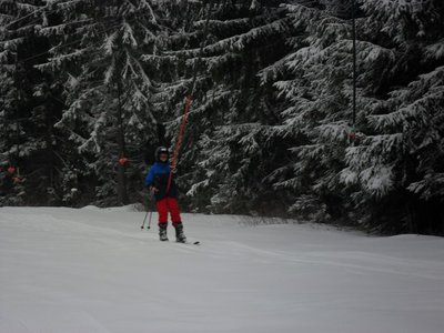 Obrázek 103182 