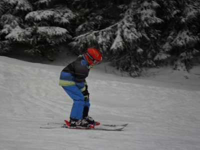 Obrázek 103197 