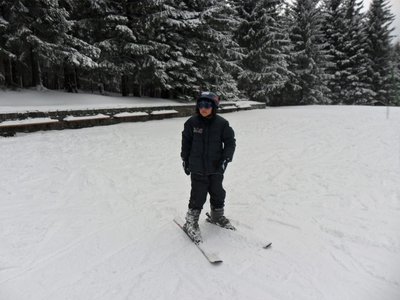 Obrázek 103201 