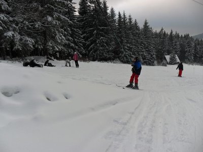 Obrázek 103202 