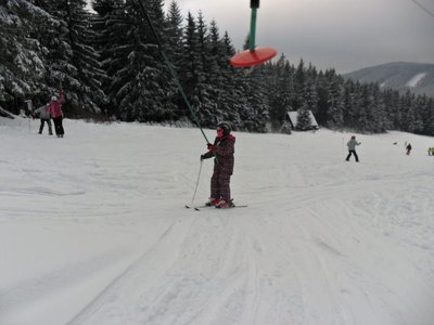 Obrázek 103203 