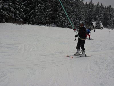 Obrázek 103204 