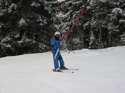 Obrázek 103209 