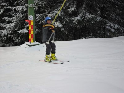 Obrázek 103211 