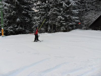 Obrázek 103213 