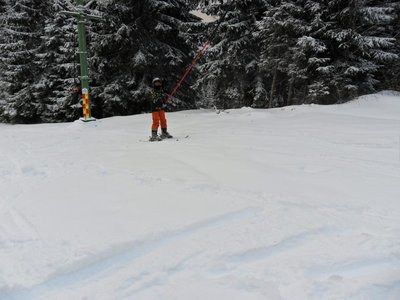Obrázek 103214 