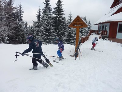 Obrázek 103098 