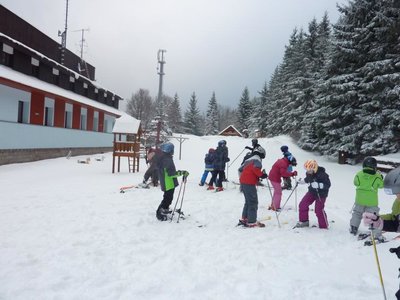Obrázek 103100 