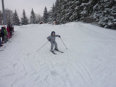 Obrázek 103108 