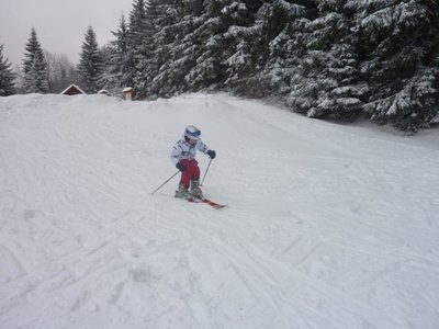Obrázek 103109 