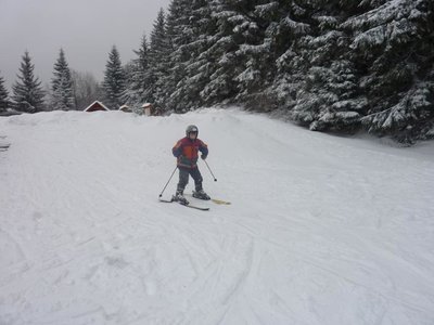Obrázek 103111 