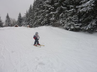 Obrázek 103120 