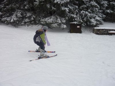 Obrázek 103122 