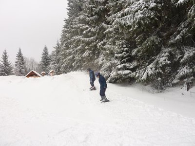 Obrázek 103129 