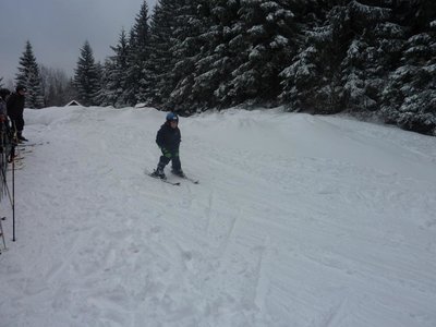 Obrázek 103137 