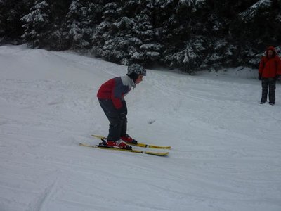 Obrázek 103141 