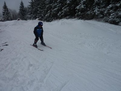 Obrázek 103146 