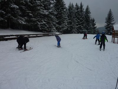 Obrázek 103147 