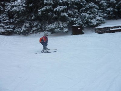 Obrázek 103163 