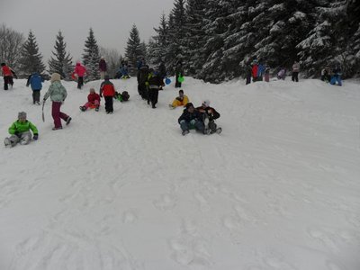 Obrázek 102942 