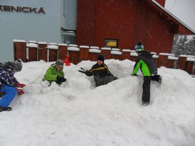 Obrázek 102953 