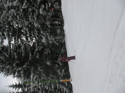 Obrázek 102905 