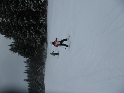 Obrázek 102913 