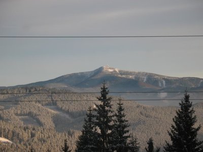 Obrázek 102918 