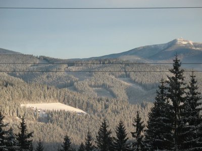 Obrázek 102919 